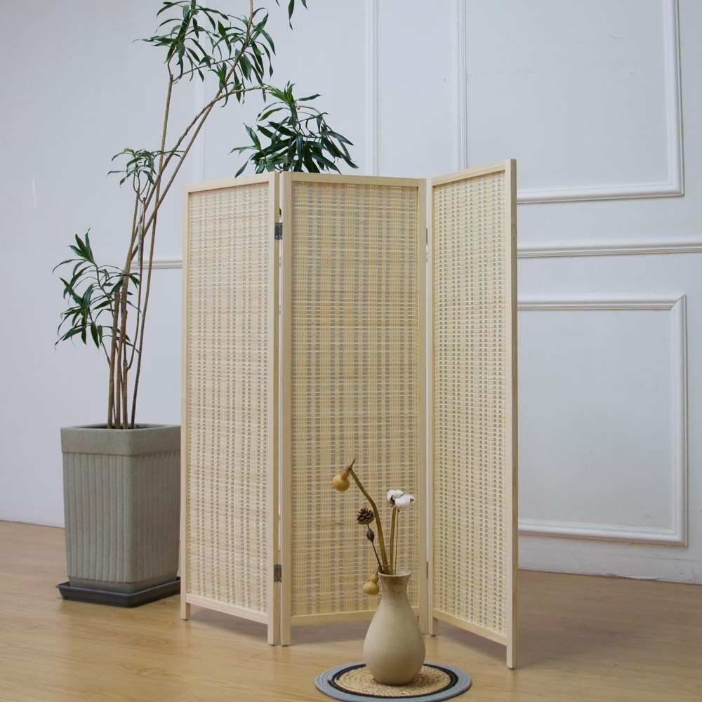 Divisorio per Ambienti a 3 Pan - Partition Screen Divider recensione e prezzo